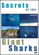 Secrets of the Giant Sharks