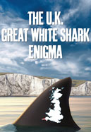 The UK Great White Shark Enigma