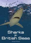 Sharks in British Seas Book First Edition - Written by Richard Peirce