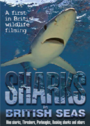 Sharks in British Seas DVD - Written & presented by Richard Peirce